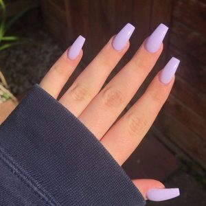 Meet your Posher, Elsa